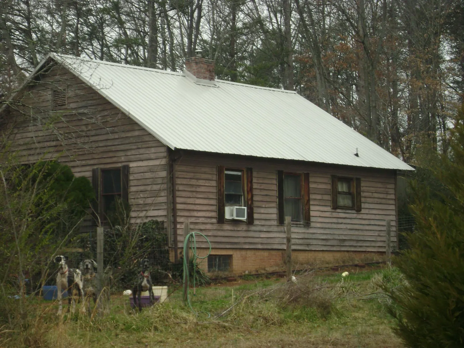 White metal roof on an old wood sided farmhouse, from a Metal Roof Installation job in Orrs Island